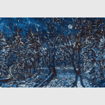 Snow Moon