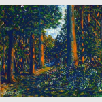 Streamside Backyard